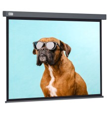 Экран Cactus 149.4x265.7см Wallscreen CS-PSW-149X265-SG 16:9 настенно-потолочный рулонный серый