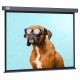 Экран Cactus 149.4x265.7см Wallscreen CS-PSW-149X265-SG 16:9 настенно-потолочный рулонный серый
