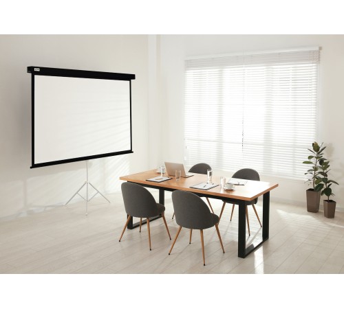 Экран Cactus 149.4x265.7см Wallscreen CS-PSW-149X265-BK 16:9 настенно-потолочный рулонный черный Экран Cactus 149.4x265.7см Wallscreen CS-PSW-149X265-BK 16:9 настенно-потолочный рулонный черный