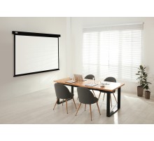 Экран Cactus 150x150см Wallscreen CS-PSW-150X150-BK 1:1 настенно-потолочный рулонный черный
