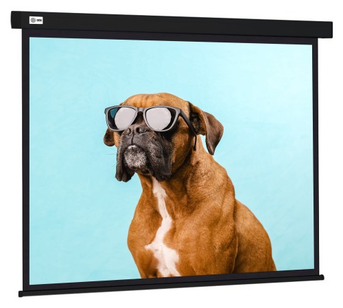 Экран Cactus 183x244см Wallscreen CS-PSW-183X244-BK 4:3 настенно-потолочный рулонный черный
