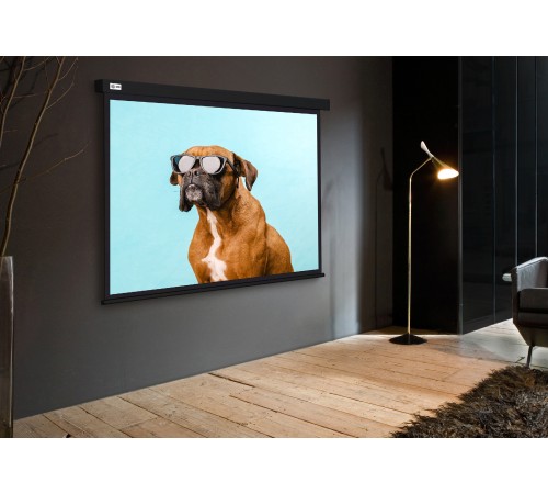 Экран Cactus 183x244см Wallscreen CS-PSW-183X244-BK 4:3 настенно-потолочный рулонный черный