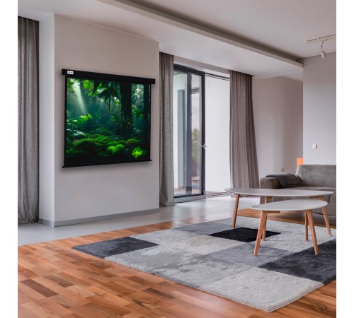 Экран Cactus 213x213см Wallscreen CS-PSW-213X213-BK 1:1 настенно-потолочный рулонный черный