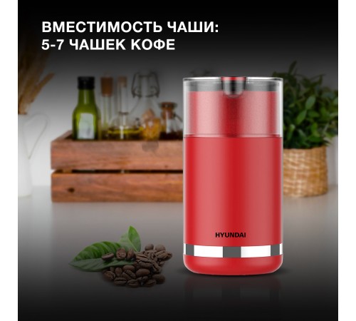 Кофемолка Hyundai HYC-G3272 200Вт сист.помол.:ротац.нож вместим.:70гр красный Кофемолка Hyundai HYC-G3272 200Вт сист.помол.:ротац.нож вместим.:70гр красный