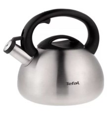 Чайник металлический Tefal C7921024 2.5л. серебристый (2100093085)