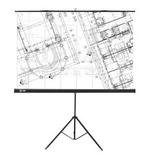 Экран Cactus 127x127см Triscreen CS-PST-127X127 1:1 напольный рулонный черный