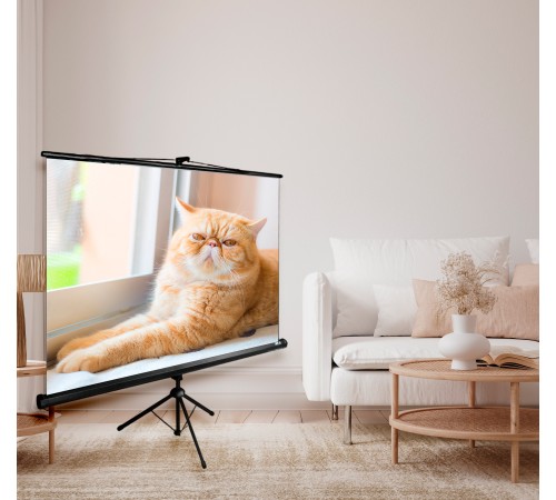 Экран Cactus 127x127см Triscreen CS-PST-127X127 1:1 напольный рулонный черный Экран Cactus 127x127см Triscreen CS-PST-127X127 1:1 напольный рулонный черный