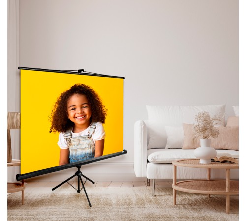 Экран Cactus 150x150см Triscreen CS-PST-150x150 1:1 напольный рулонный черный