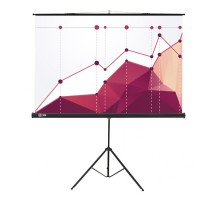 Экран Cactus 180x180см Triscreen CS-PST-180x180 1:1 напольный рулонный черный