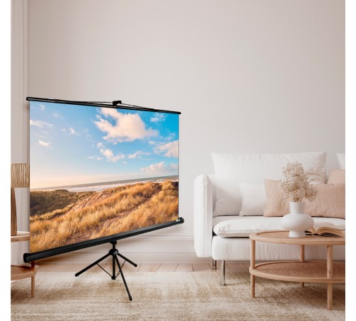 Экран Cactus 180x180см Triscreen CS-PST-180x180 1:1 напольный рулонный черный Экран Cactus 180x180см Triscreen CS-PST-180x180 1:1 напольный рулонный черный