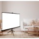 Экран Cactus 180x180см Triscreen CS-PST-180x180 1:1 напольный рулонный черный