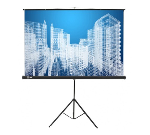 Экран Cactus 104.4x186см Triscreen CS-PST-104x186 16:9 напольный рулонный черный Экран Cactus 104.4x186см Triscreen CS-PST-104x186 16:9 напольный рулонный черный