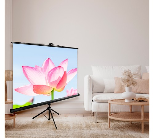 Экран Cactus 104.4x186см Triscreen CS-PST-104x186 16:9 напольный рулонный черный Экран Cactus 104.4x186см Triscreen CS-PST-104x186 16:9 напольный рулонный черный
