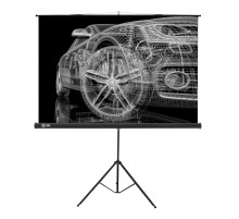 Экран Cactus 124.5x221см Triscreen CS-PST-124x221 16:9 напольный рулонный черный