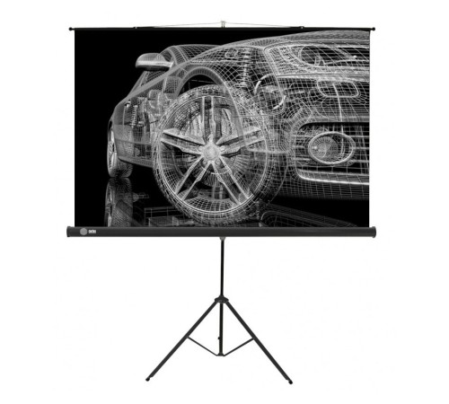 Экран Cactus 124.5x221см Triscreen CS-PST-124x221 16:9 напольный рулонный черный