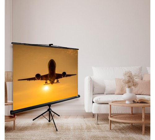 Экран Cactus 124.5x221см Triscreen CS-PST-124x221 16:9 напольный рулонный черный