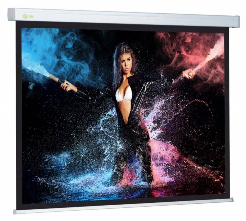 Экран Cactus 168x299см Wallscreen CS-PSW-168x299 16:9 настенно-потолочный рулонный белый Экран Cactus 168x299см Wallscreen CS-PSW-168x299 16:9 настенно-потолочный рулонный белый