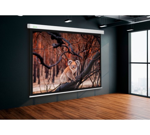 Экран Cactus 168x299см Wallscreen CS-PSW-168x299 16:9 настенно-потолочный рулонный белый Экран Cactus 168x299см Wallscreen CS-PSW-168x299 16:9 настенно-потолочный рулонный белый
