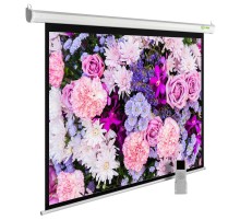 Экран Cactus 315x420см MotoExpert CS-PSME-420x315-WT 4:3 настенно-потолочный рулонный белый (моторизованный привод)