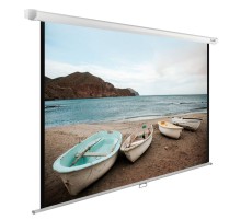 Экран Cactus 138x220см WallExpert CS-PSWE-220x138-WT 16:10 настенно-потолочный рулонный белый