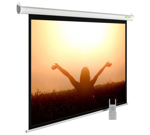 Экран Cactus 165x220см MotoExpert CS-PSME-220x165-WT 4:3 настенно-потолочный рулонный белый (моторизованный привод) Экран Cactus 165x220см MotoExpert CS-PSME-220x165-WT 4:3 настенно-потолочный рулонный белый (моторизованный привод)