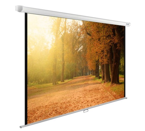 Экран Cactus 125x200см WallExpert CS-PSWE-200x125-WT 16:10 настенно-потолочный рулонный