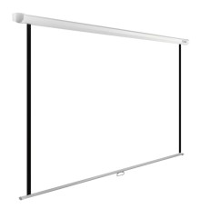 Экран Cactus 125x200см WallExpert CS-PSWE-200x125-WT 16:10 настенно-потолочный рулонный