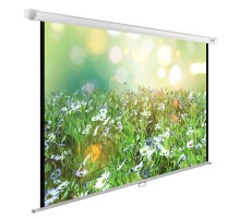 Экран Cactus 200x200см WallExpert CS-PSWE-200x200-WT 1:1 настенно-потолочный рулонный