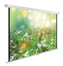 Экран Cactus 200x200см WallExpert CS-PSWE-200x200-WT 1:1 настенно-потолочный рулонный