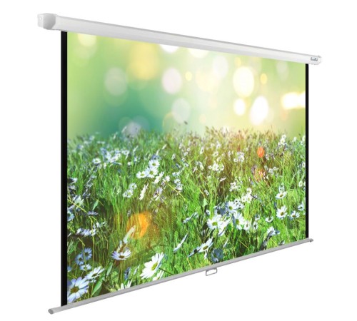 Экран Cactus 200x200см WallExpert CS-PSWE-200x200-WT 1:1 настенно-потолочный рулонный