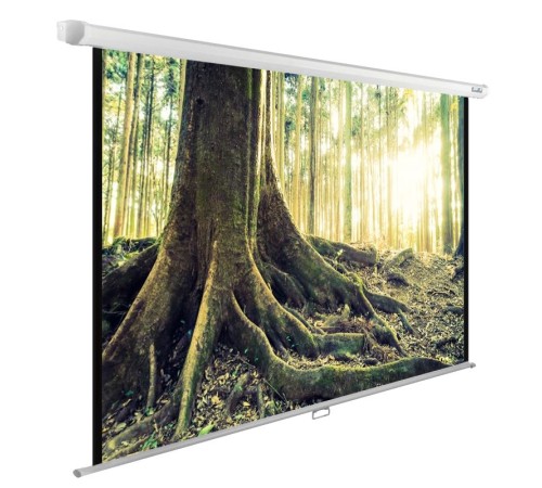 Экран Cactus 220x220см WallExpert CS-PSWE-220x220-WT 1:1 настенно-потолочный рулонный