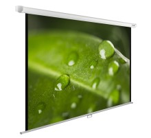 Экран Cactus 150x200см WallExpert CS-PSWE-200x150-WT 4:3 настенно-потолочный рулонный