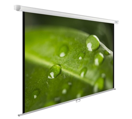 Экран Cactus 150x200см WallExpert CS-PSWE-200x150-WT 4:3 настенно-потолочный рулонный Экран Cactus 150x200см WallExpert CS-PSWE-200x150-WT 4:3 настенно-потолочный рулонный