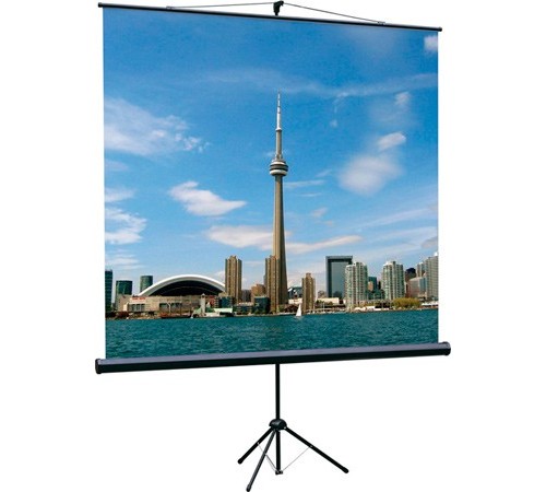 Экран на треноге Lumien 180x180см Eco View LEV-100102 1:1 напольный рулонный черный Экран на треноге Lumien 180x180см Eco View LEV-100102 1:1 напольный рулонный черный