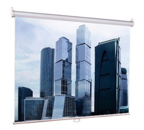 Экран Lumien 160x160см Eco Picture LEP-100105 1:1 настенно-потолочный рулонный Экран Lumien 160x160см Eco Picture LEP-100105 1:1 настенно-потолочный рулонный
