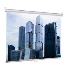 Экран Lumien 180x180см Eco Picture LEP-100102 1:1 настенно-потолочный рулонный