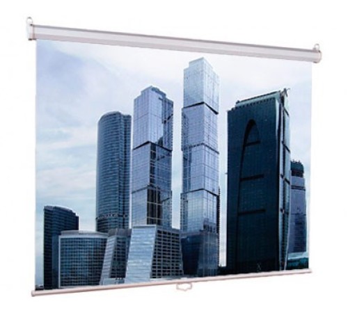 Экран Lumien 200x200см Eco Picture LEP-100103 1:1 настенно-потолочный рулонный Экран Lumien 200x200см Eco Picture LEP-100103 1:1 настенно-потолочный рулонный