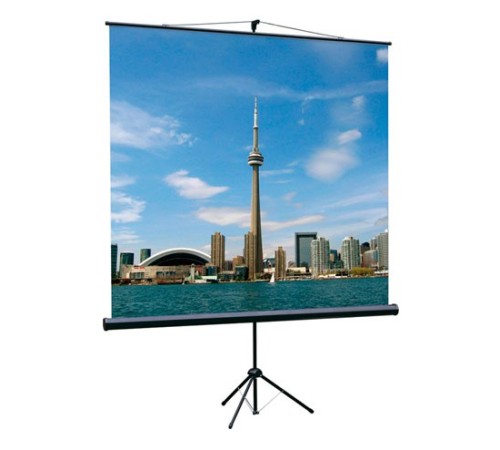 Экран на треноге Lumien 150x150см Eco View LEV-100101 1:1 напольный рулонный Экран на треноге Lumien 150x150см Eco View LEV-100101 1:1 напольный рулонный