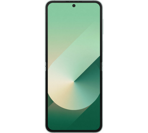 Смартфон Samsung Galaxy Z Flip6 12/512Gb Mint SM-F741BLGHCAU