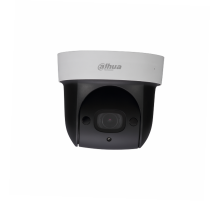 IP камера Dahua DH-SD29204UE-GN-W