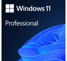 ПО Microsoft Windows Pro FPP 11 P2 32-bit/64-bit Eng Intl non-EU/EFTA USB (HAV-00164) (id 3038)