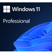 ПО Microsoft Windows Pro FPP 11 P2 32-bit/64-bit Eng Intl non-EU/EFTA USB (HAV-00164) (id 3038)