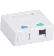 Корпус розетки ITK Корпус настенной розетки для 2 мод. Keystone Jack