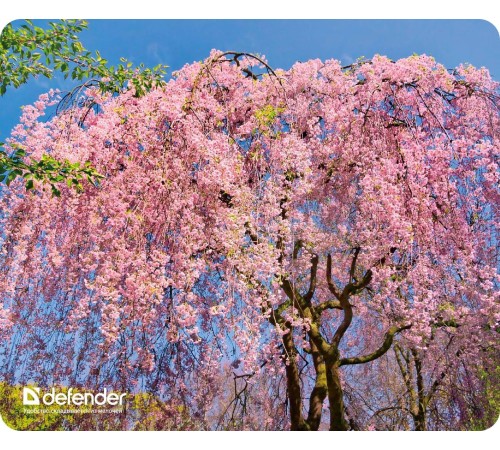 Defender Коврик для компьютерной мыши Silk Pad Nature 230x190x1.6 мм, 10 видов