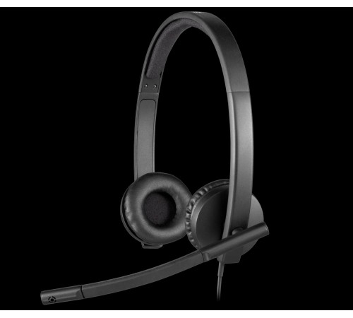 Гарнитура/ Logitech Headset H570E USB  Stereo OEM