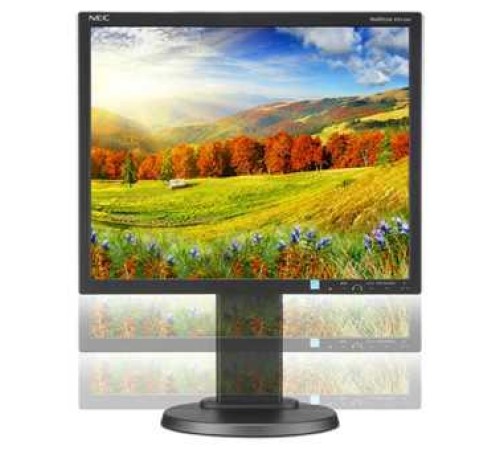 Монитор LCD 48,3 cm (19") 5:4 1280х1024(SXGA) IPS, 250cd/m2, 1000:1, 6ms, VGA, DVI, DP, Height adj, Pivot, Tilt, Swivel, Speakers, Swivel, 3Y, Black (Вскрытая упаковка)