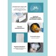 Стиральная машина CHiQ CFL100-14596DHALIM1W (Мятая упаковка)