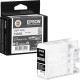 Картридж/ Singlepack LightGray T46S9 UltraChromePro10 ink 25ml