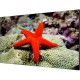 Тонкошовная ЖК панель 55", 1080P, 500 кд/м2, шов: 0.88 мм, входы: VGA/DVI/DP/HDMI, выходы: DP/HDMI, поддержка 4K/ Тонкошовная ЖК панель 55" Hikvision [DS-D2055LR-G]