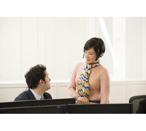 Гарнитура беспроводная/ Jabra PRO 920 Duo, EMEA DECT Гарнитура беспроводная/ Jabra PRO 920 Duo, EMEA DECT